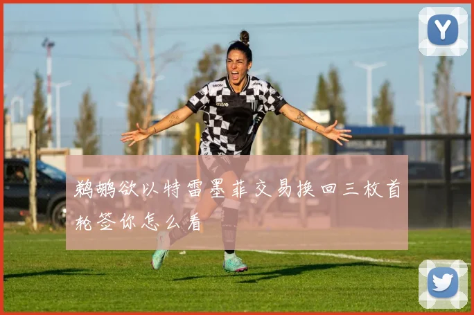 鹈鹕欲以特雷墨菲交易换回三枚首轮签你怎么看
