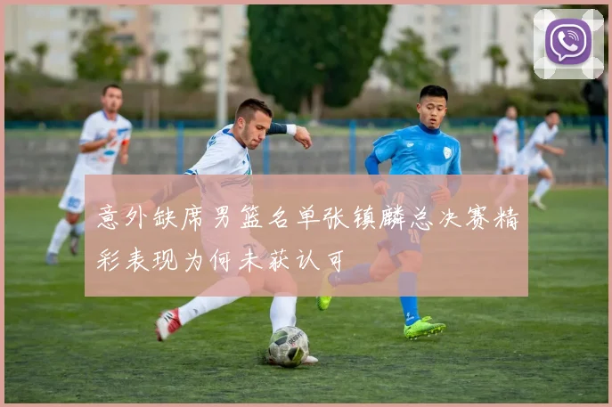 意外缺席男篮名单张镇麟总决赛精彩表现为何未获认可