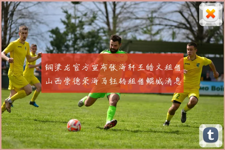 铜梁龙官方宣布张海轩王皓文租借山西崇德荣海马钰钧租借鲲城消息
